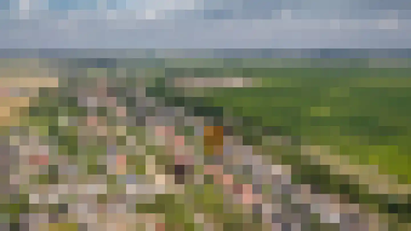 Ridder van Drongelenstraat 1 Meeuwen thumbnail 46