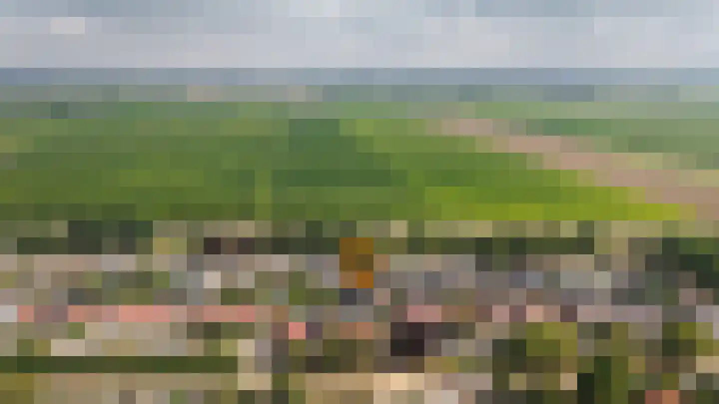 Ridder van Drongelenstraat 1 Meeuwen thumbnail 47