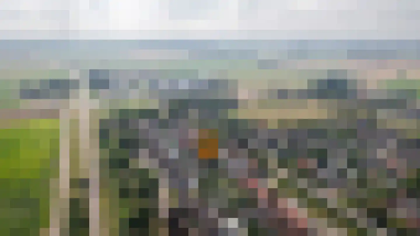 Ridder van Drongelenstraat 1 Meeuwen thumbnail 48