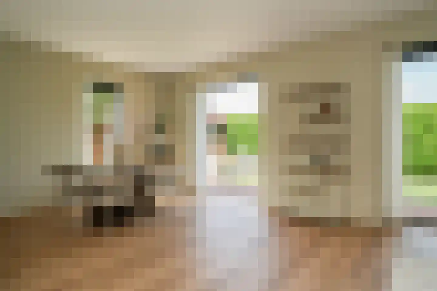 Ridder van Drongelenstraat 1 Meeuwen thumbnail 9