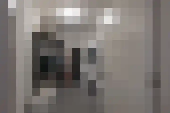 Ridder van Heerstraat 11 Maastricht thumbnail 18