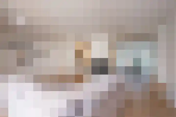 Ridder van Heerstraat 11 Maastricht thumbnail 4