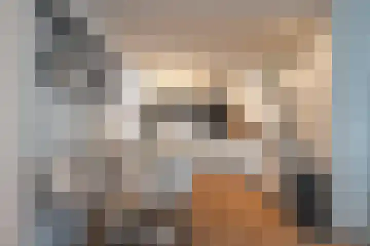 Ridder van Heerstraat 11 Maastricht thumbnail 5