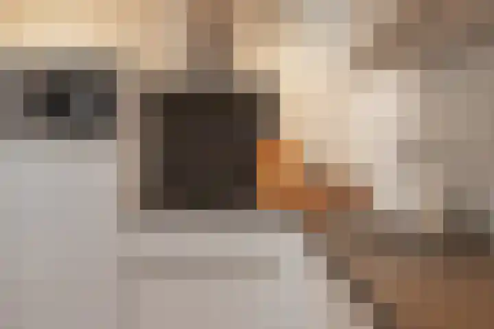Ridder van Heerstraat 11 Maastricht thumbnail 6