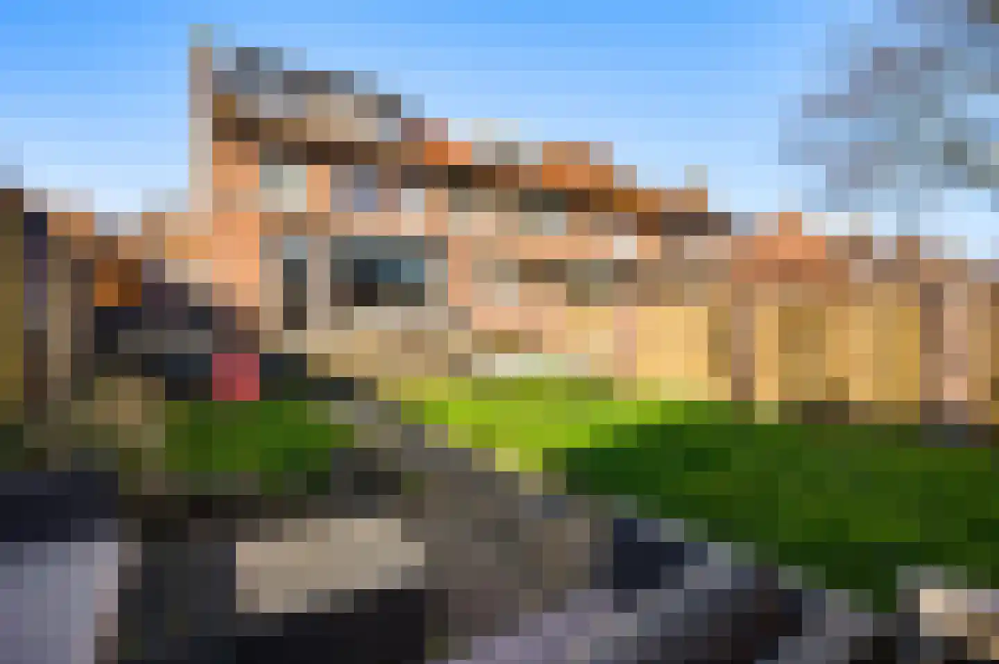 Ridder Vosstraat 15 Brunssum thumbnail 19