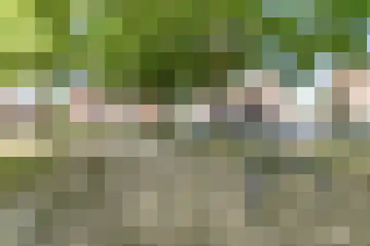 Ridder Vosstraat 19 Brunssum thumbnail 35