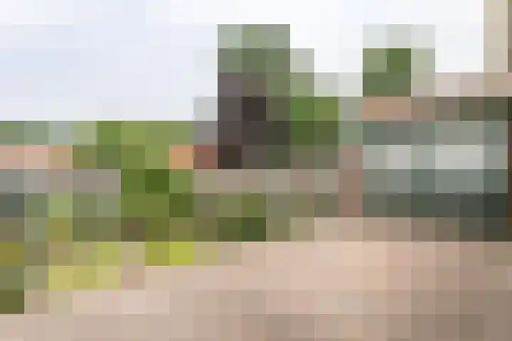 Ridder Vosstraat 5 Brunssum thumbnail 27