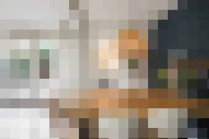 Ridder Zwederlaan 67 Zwolle thumbnail 10