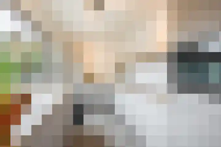 Ridder Zwederlaan 67 Zwolle thumbnail 11