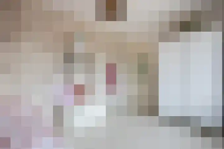Ridder Zwederlaan 67 Zwolle thumbnail 18