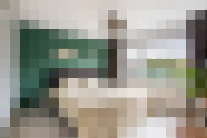 Ridder Zwederlaan 67 Zwolle thumbnail 19