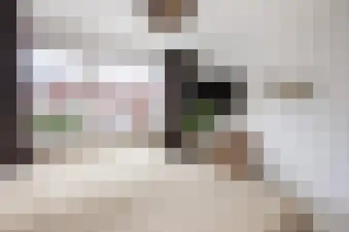 Ridder Zwederlaan 67 Zwolle thumbnail 20