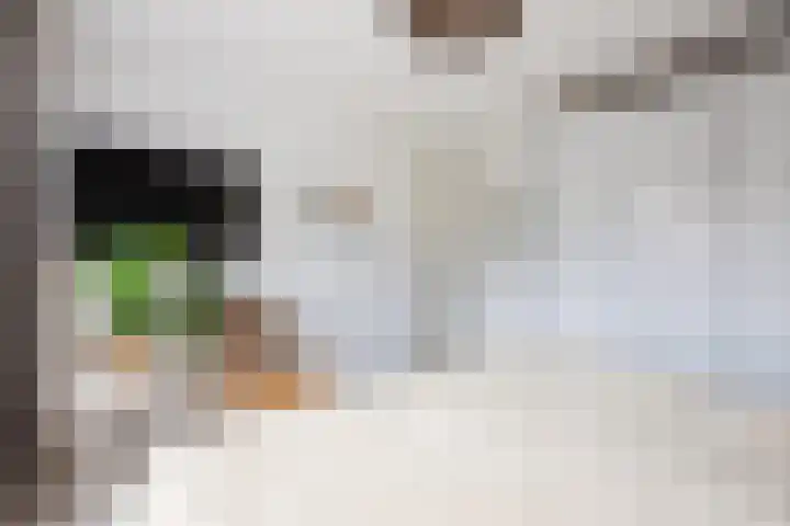 Ridder Zwederlaan 67 Zwolle thumbnail 21