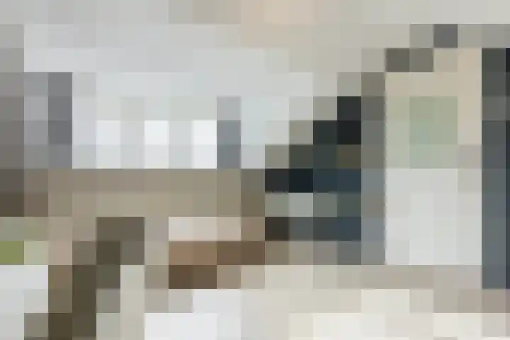 Ridder Zwederlaan 67 Zwolle thumbnail 29