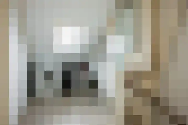 Ridder Zwederlaan 67 Zwolle thumbnail 30