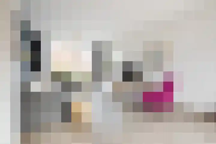 Ridder Zwederlaan 67 Zwolle thumbnail 5