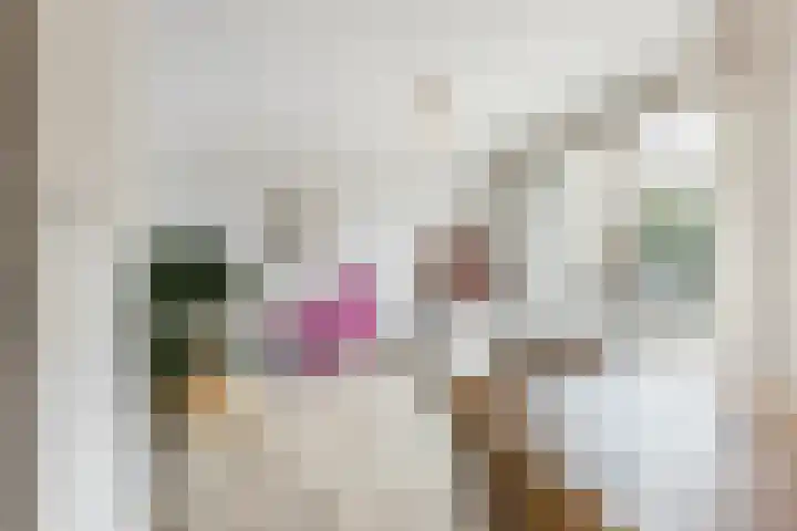 Ridder Zwederlaan 67 Zwolle thumbnail 6