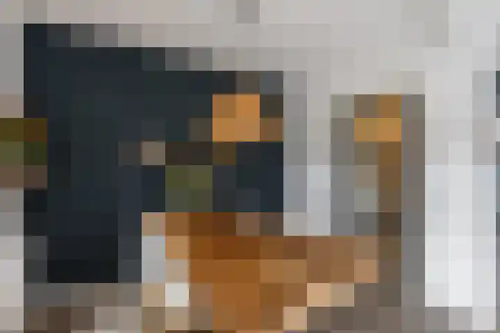 Ridder Zwederlaan 67 Zwolle thumbnail 8