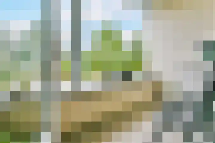 Ridderburgpark 111 Hoofddorp thumbnail 23