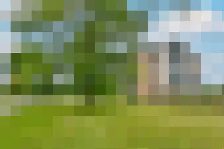 Ridderburgpark 111 Hoofddorp thumbnail 32