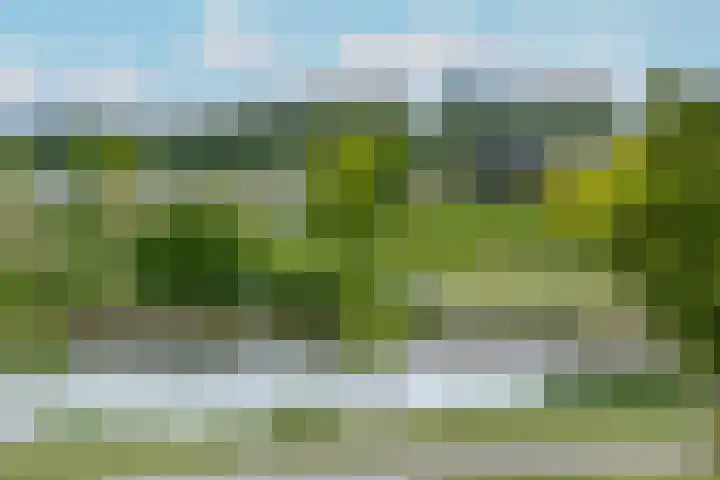Ridderburgpark 111 Hoofddorp thumbnail 33