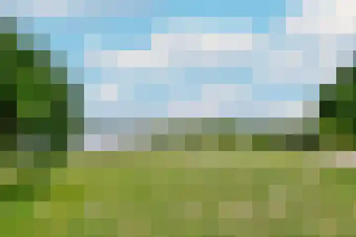 Ridderburgpark 111 Hoofddorp thumbnail 34