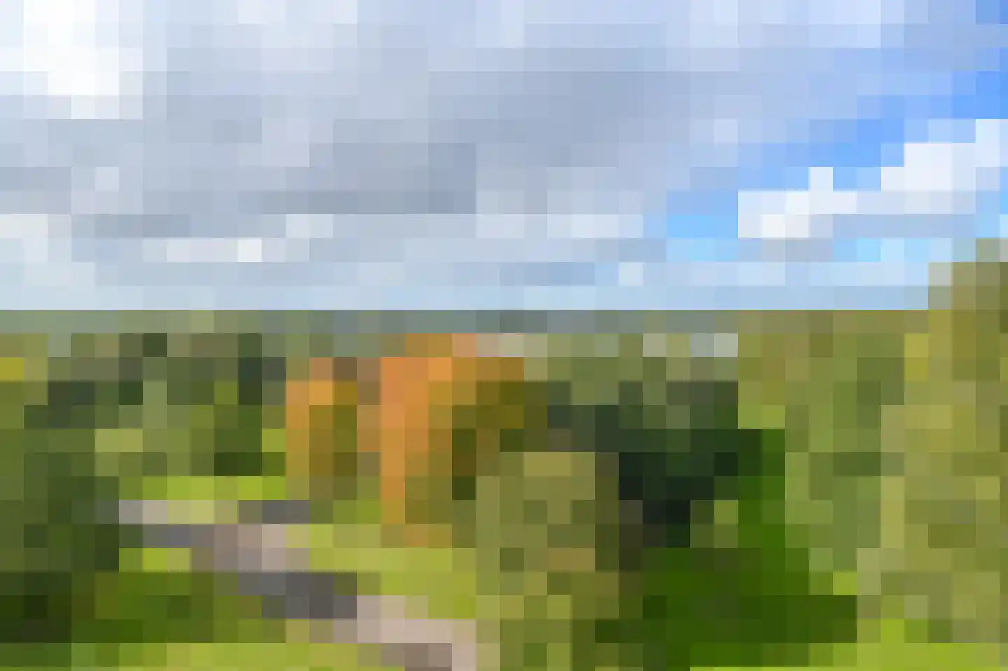 Ridderburgpark 173 Hoofddorp thumbnail 23