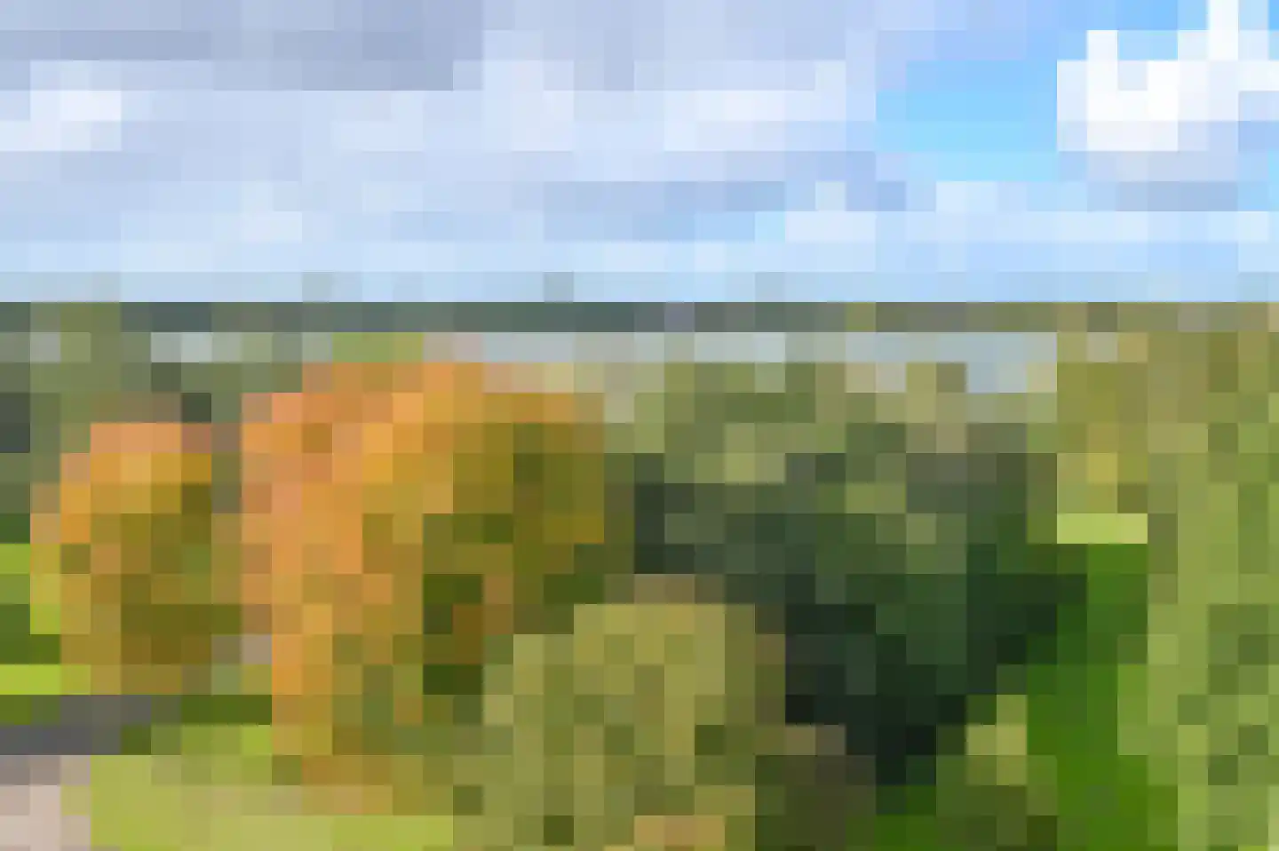 Ridderburgpark 173 Hoofddorp thumbnail 24