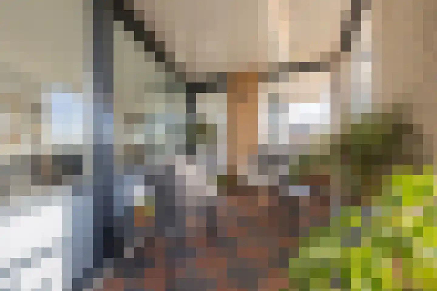 Ridderburgpark 177 Hoofddorp thumbnail 29