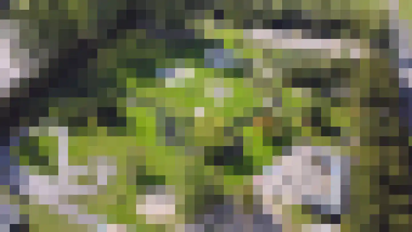 Ridderburgpark 177 Hoofddorp thumbnail 65