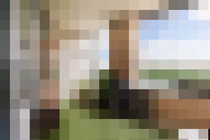 Ridderburgpark 39 Hoofddorp thumbnail 24