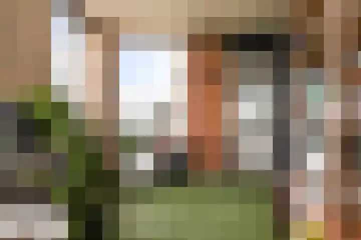 Ridderburgpark 39 Hoofddorp thumbnail 26