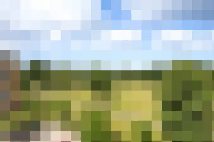 Ridderburgpark 39 Hoofddorp thumbnail 27