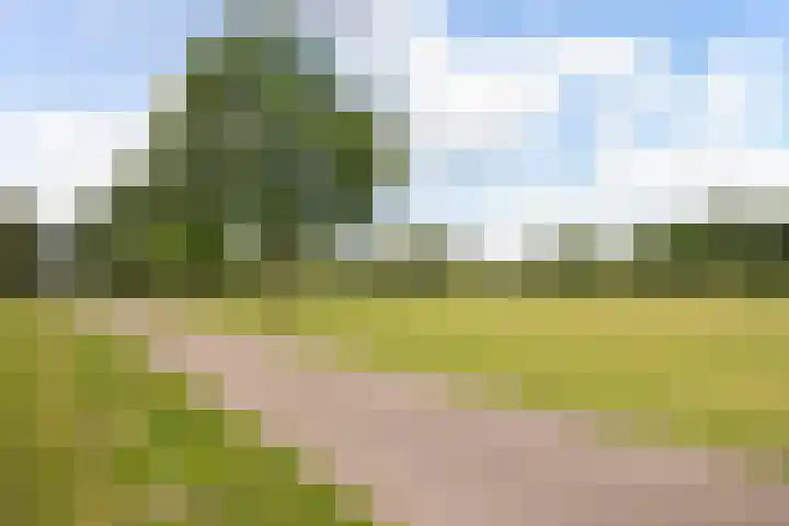 Ridderburgpark 39 Hoofddorp thumbnail 29