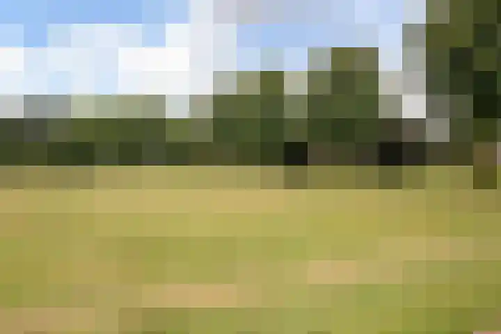 Ridderburgpark 39 Hoofddorp thumbnail 30