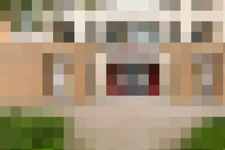 Ridderburgpark 39 Hoofddorp thumbnail 8