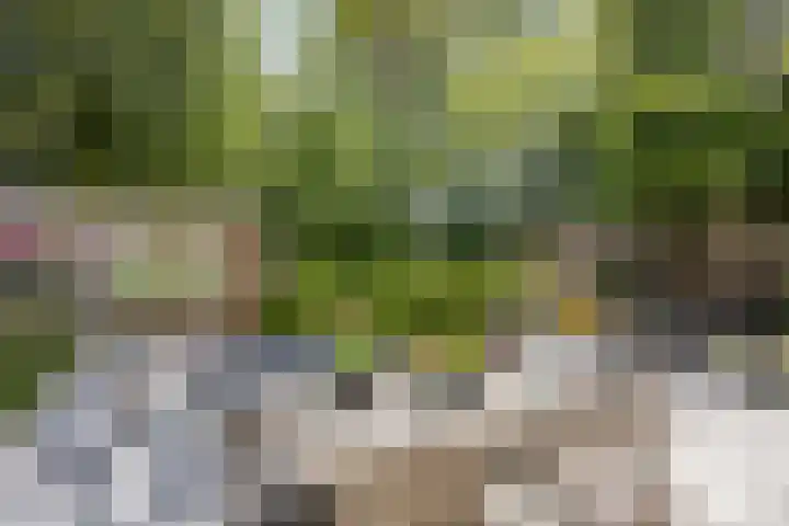 Ridderbuurt 23 Boskoop thumbnail 33