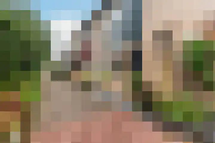 Riddergracht 4 Rhoon thumbnail 10