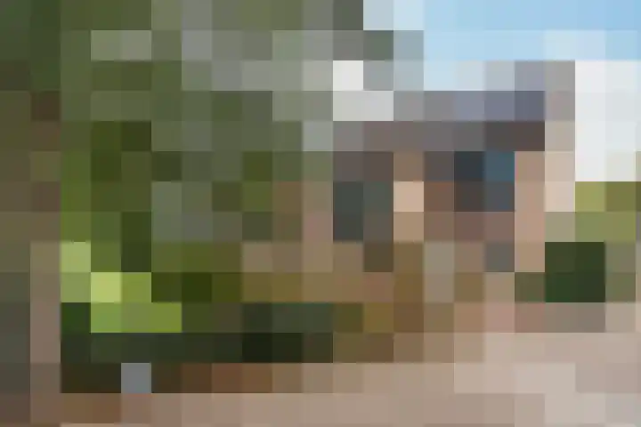 Riddergracht 4 Rhoon thumbnail 35