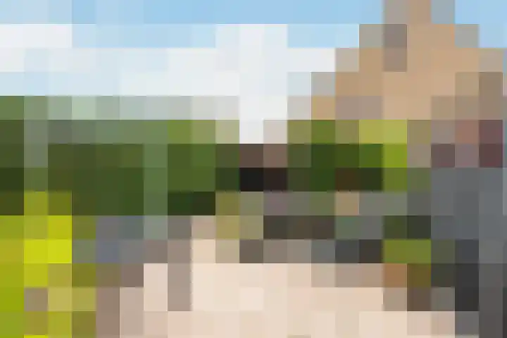 Riddergracht 4 Rhoon thumbnail 6