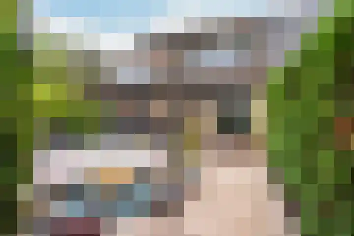 Riddergracht 4 Rhoon thumbnail 7