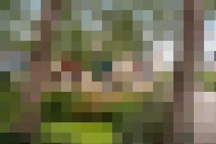 Riddergracht 4 Rhoon thumbnail 8