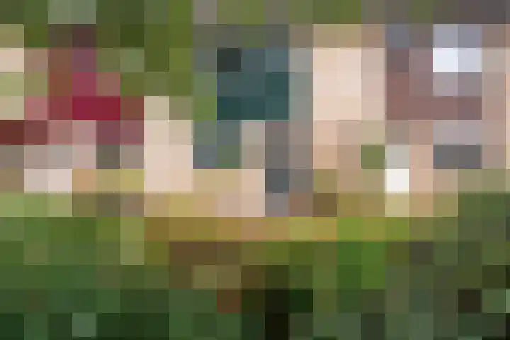 Riddergracht 4 Rhoon thumbnail 9