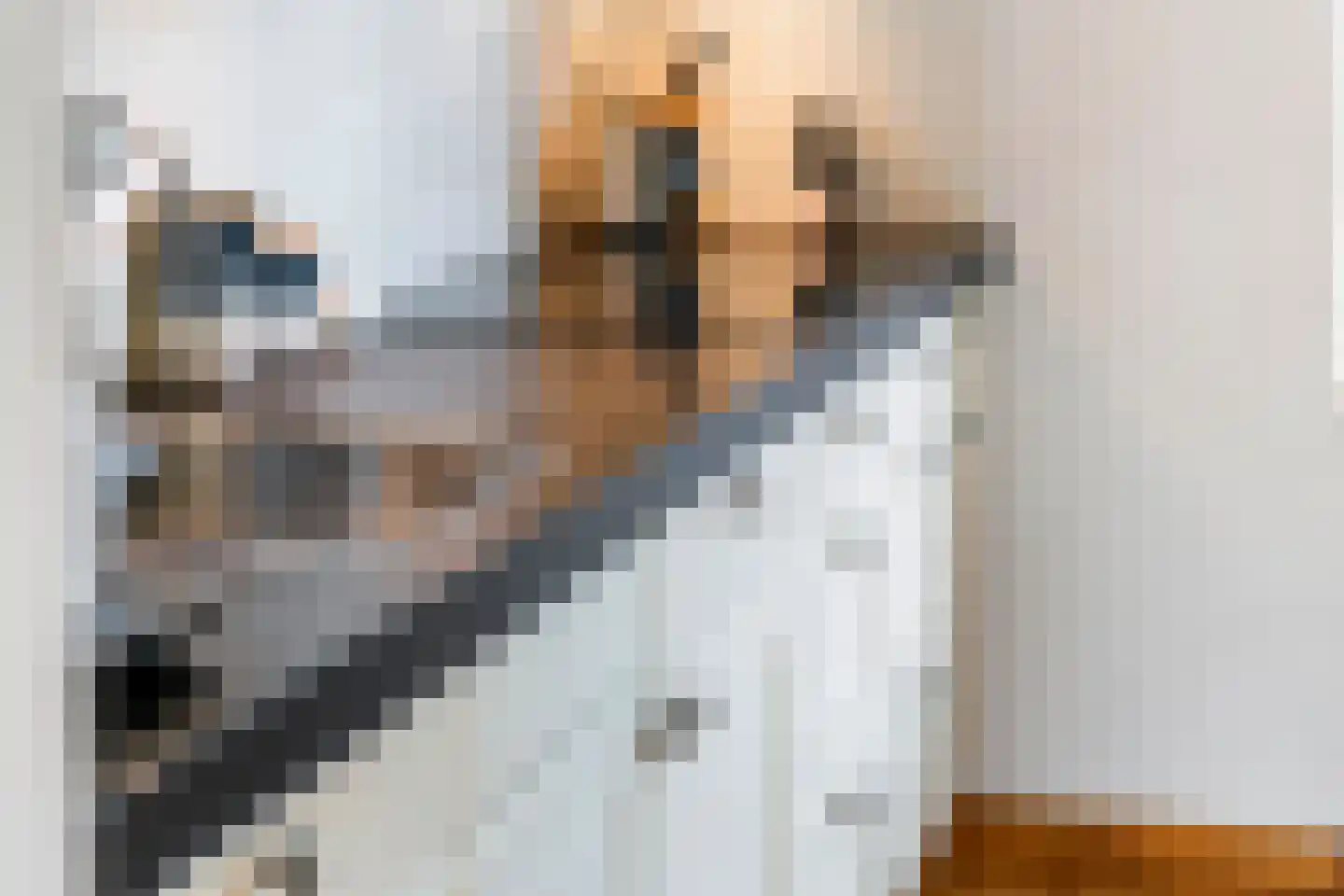 Ridderhof 10 Zoelmond thumbnail 10