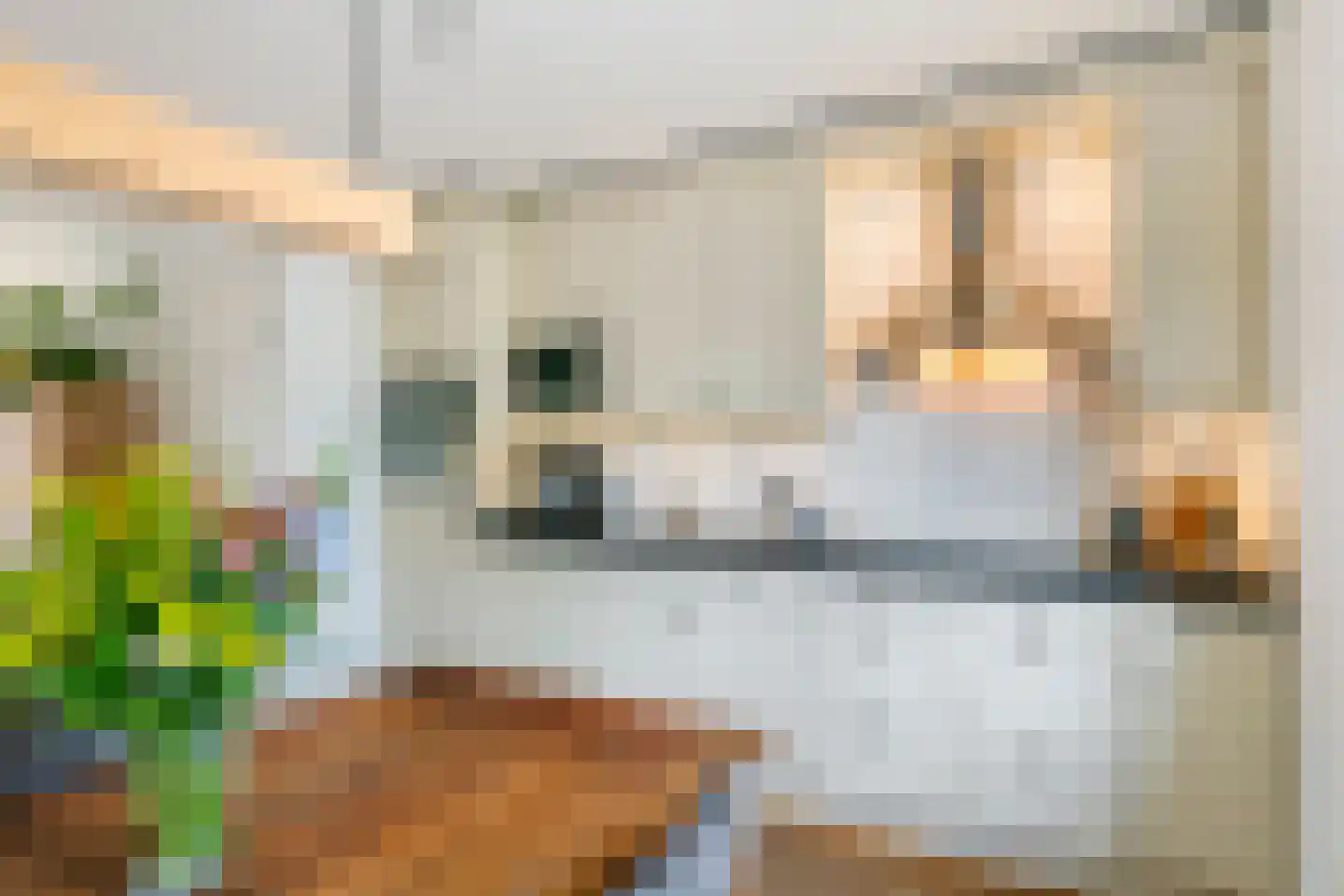 Ridderhof 10 Zoelmond thumbnail 11