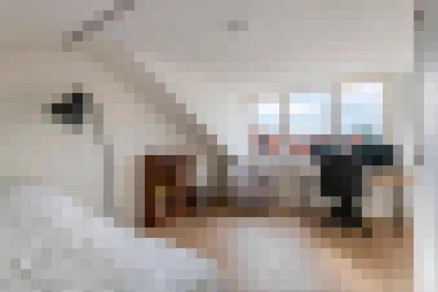 Ridderhof 10 Zoelmond thumbnail 32