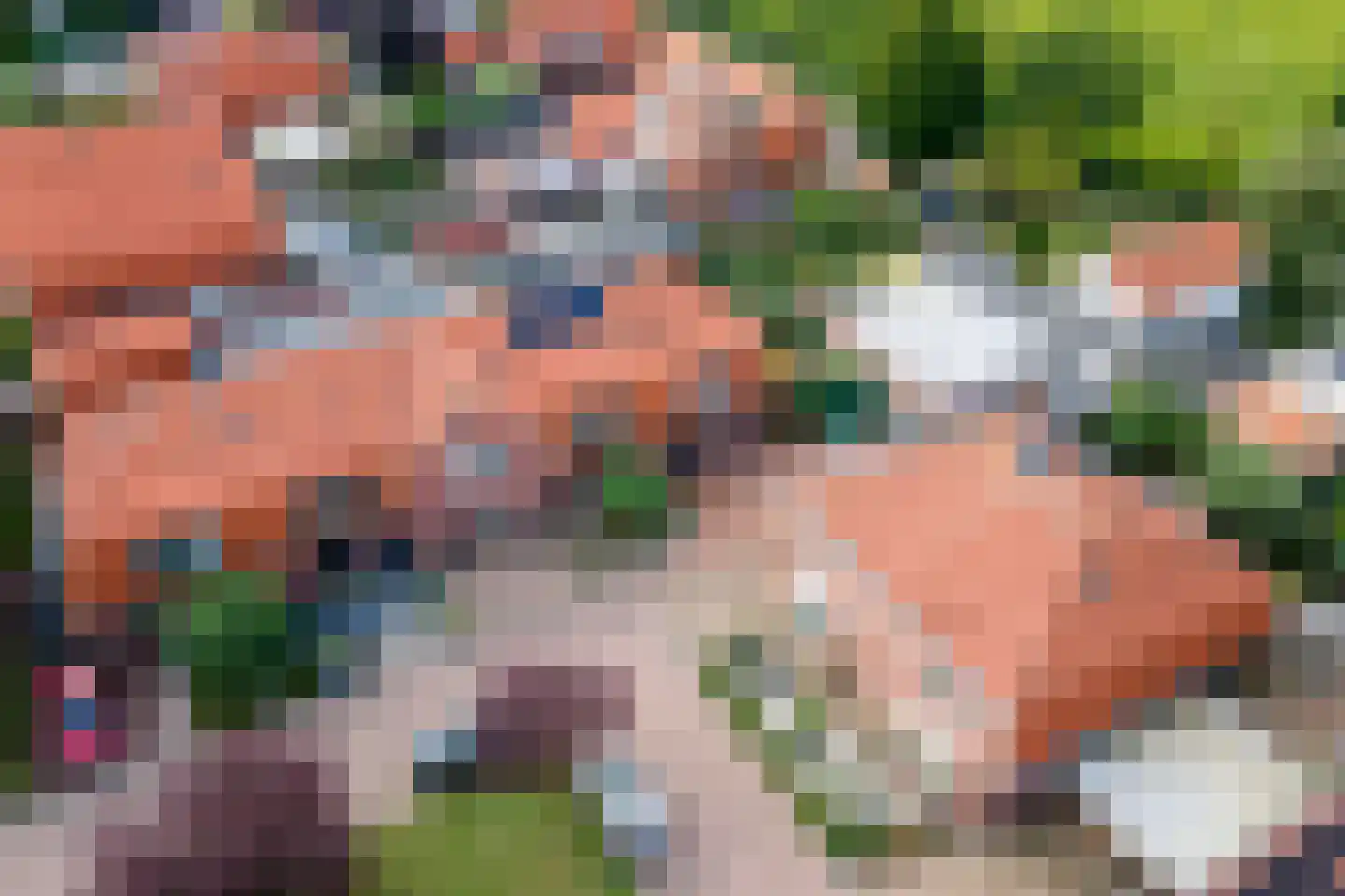 Ridderhof 10 Zoelmond thumbnail 42