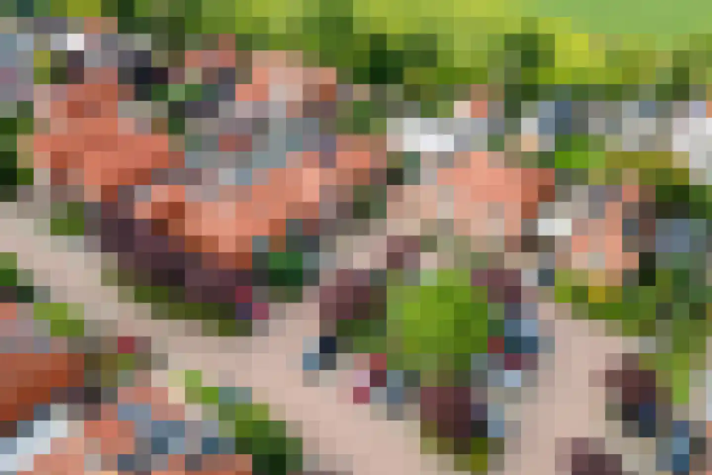 Ridderhof 10 Zoelmond thumbnail 43
