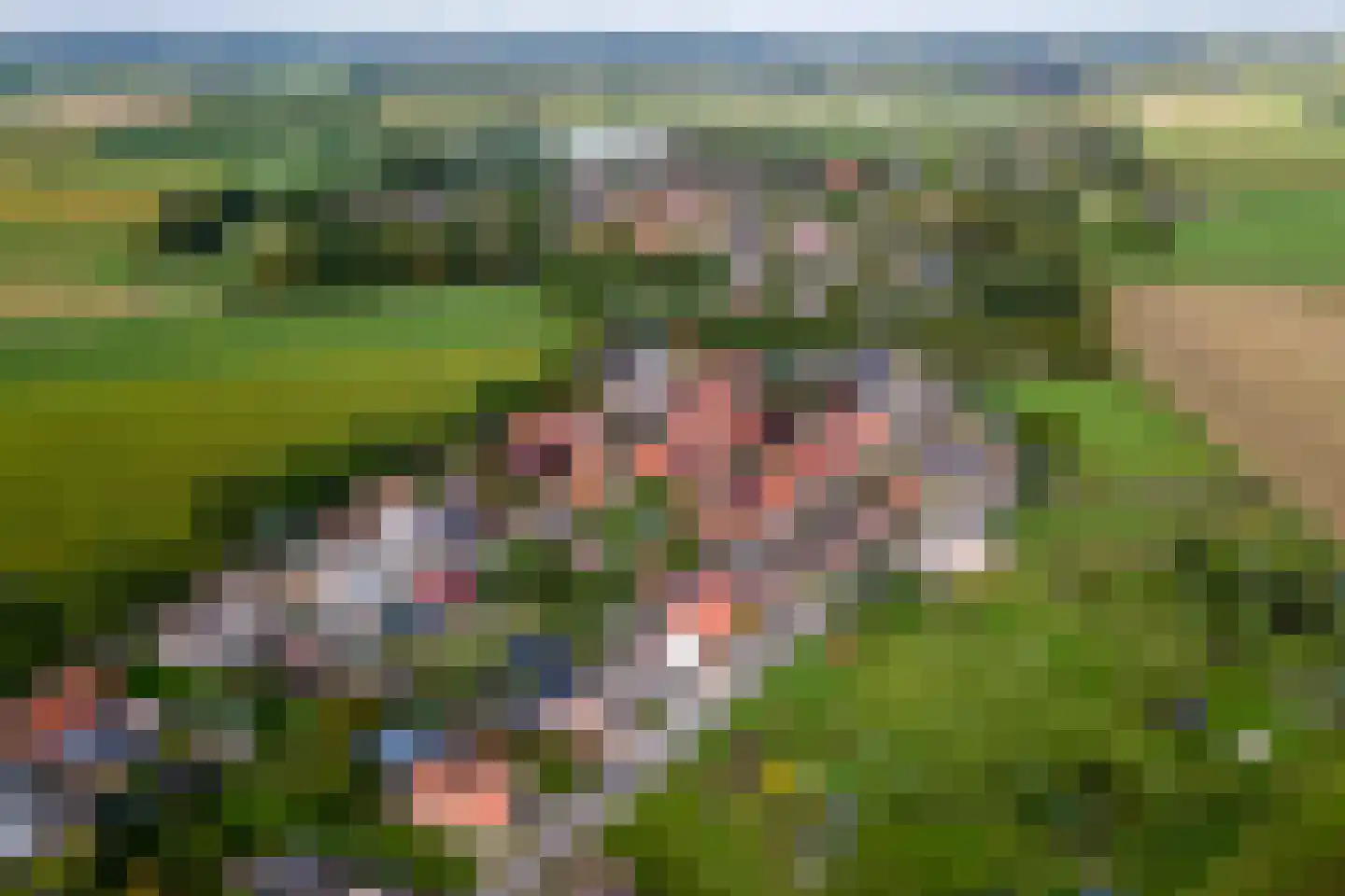 Ridderhof 10 Zoelmond thumbnail 45