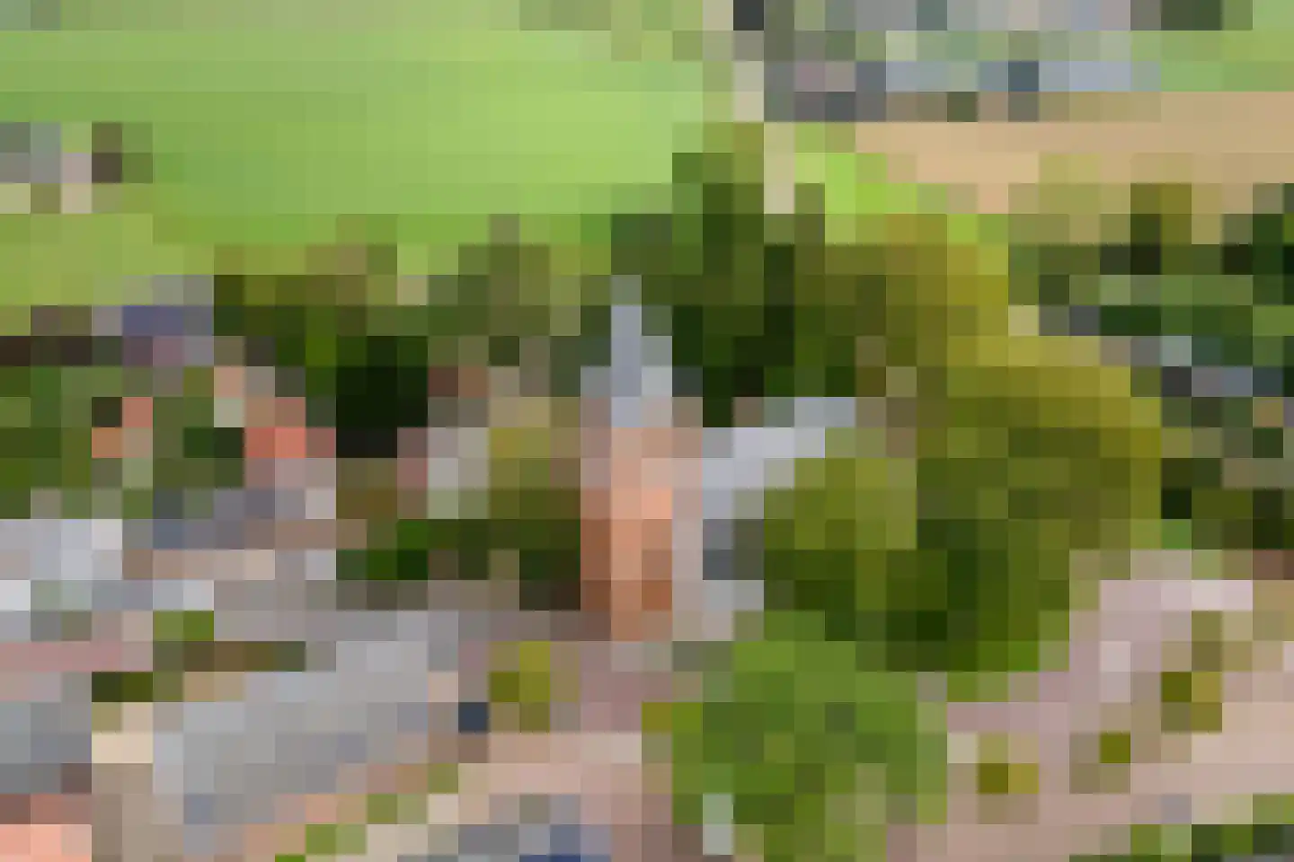 Ridderhof 10 Zoelmond thumbnail 46